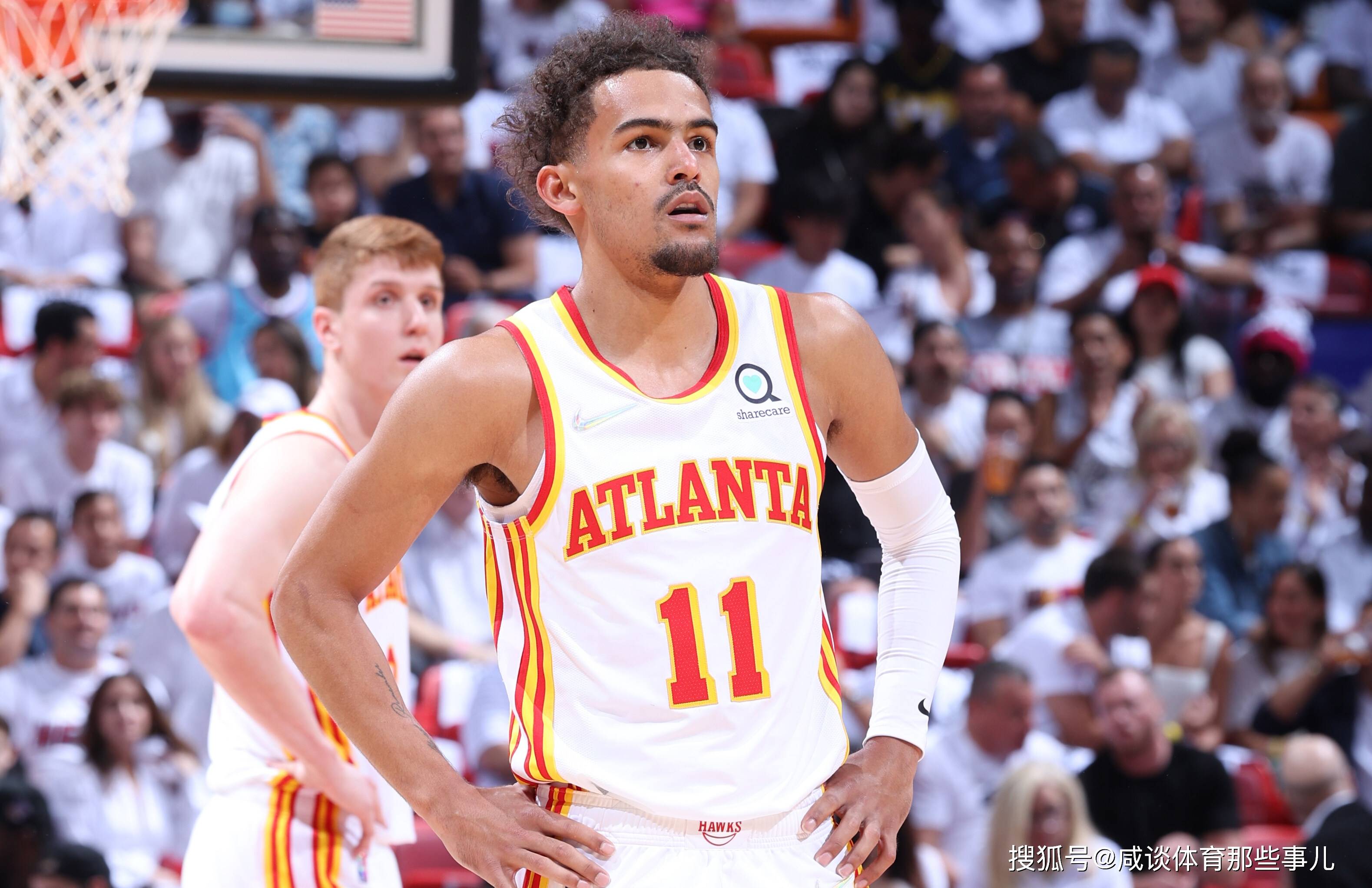 翼群三分的 翼群三分的